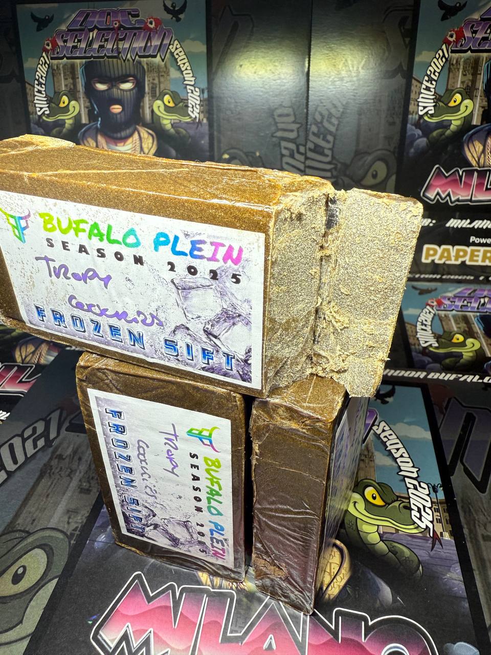 ππππππ πππππππ π½πππΌππ πππππ - πππππ πΎππππππ