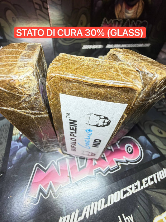 Frozen Sift Mid Bufalo Plein - GORILLA BREATH